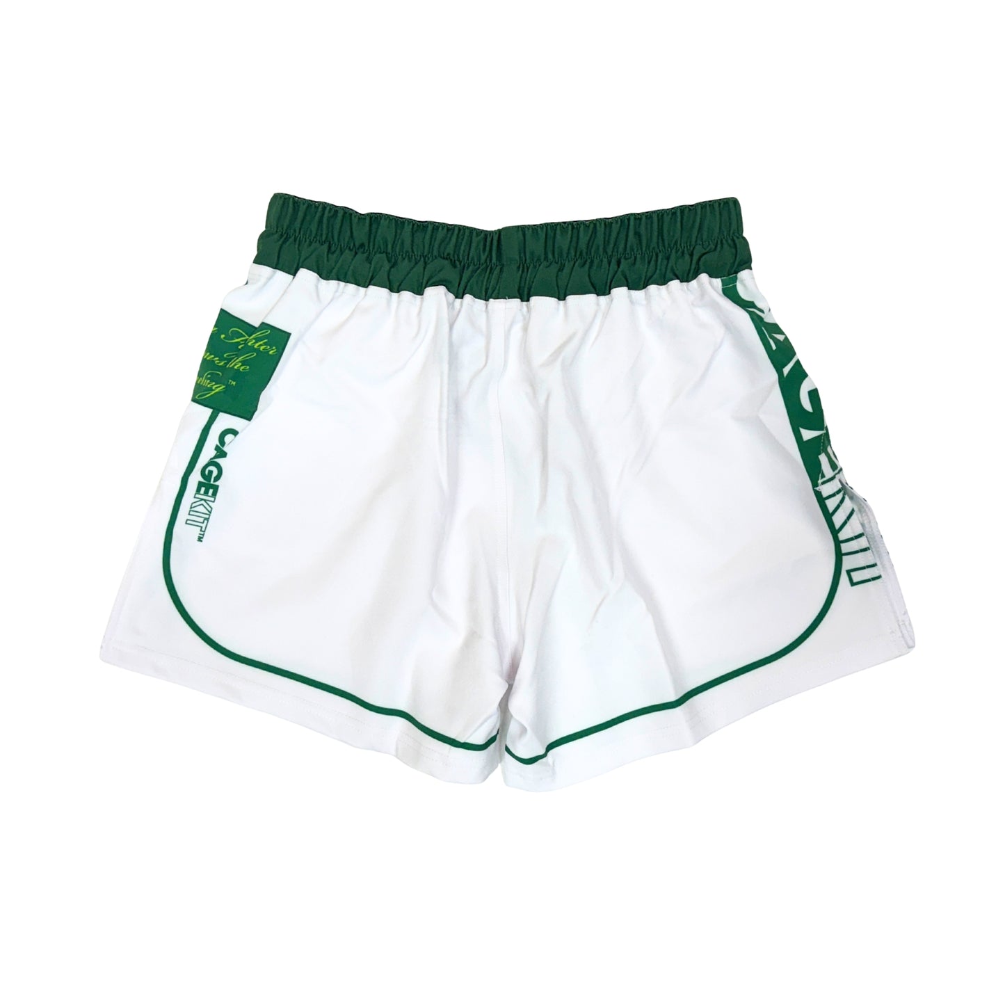 Drop Shot | V2 Hybrid MMA Shorts