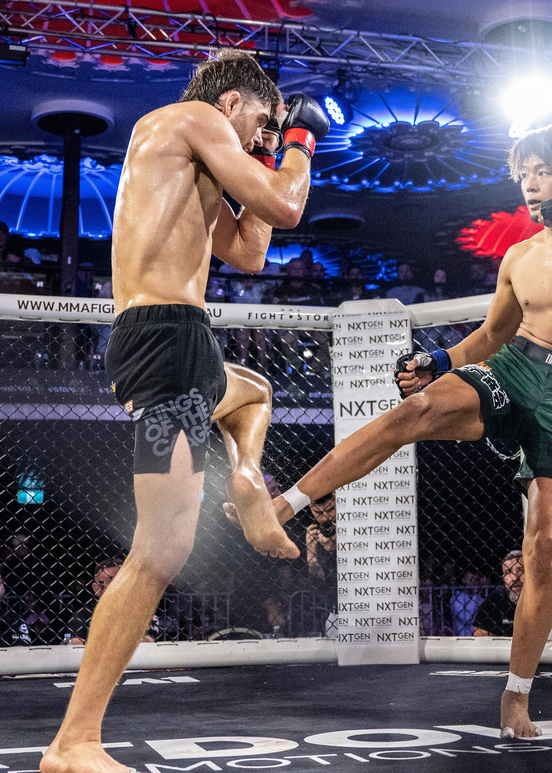 Onyx | V1 Hybrid MMA Shorts – Cage Kit Fight Wear