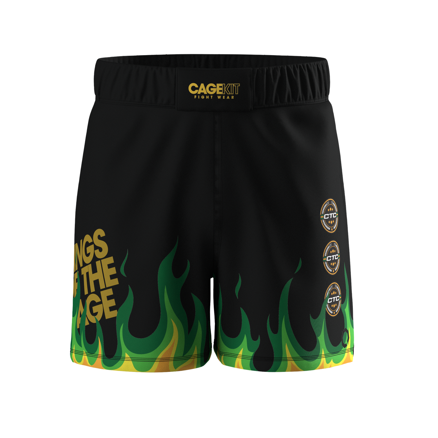 COURAGE Hybrid MMA Shorts (2024)