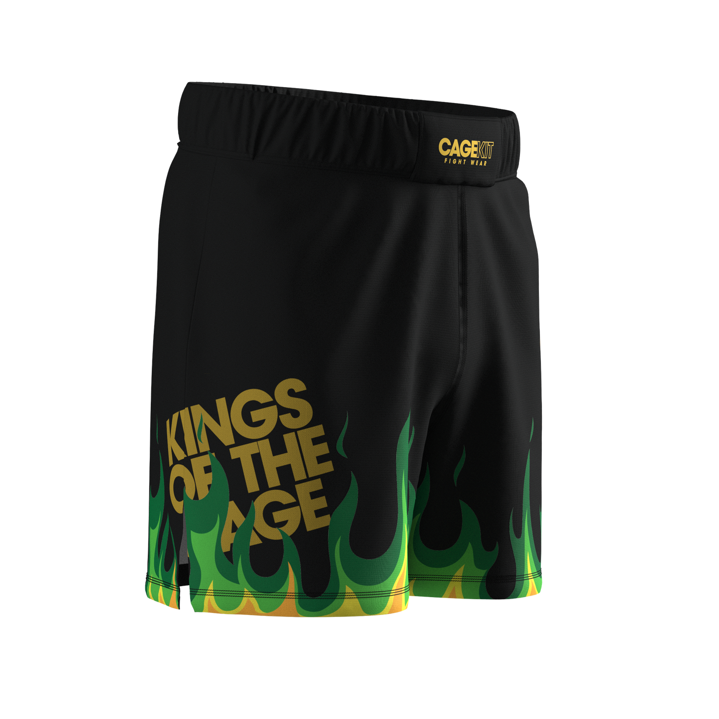 COURAGE Hybrid MMA Shorts (2024)