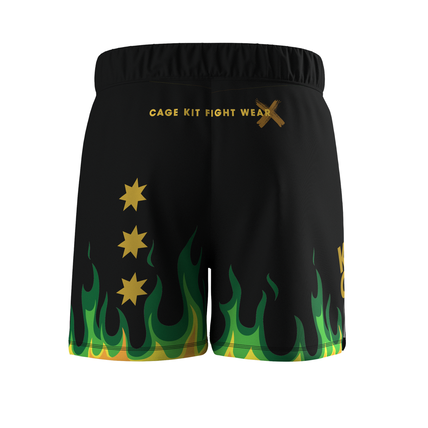 COURAGE Hybrid MMA Shorts (2024)