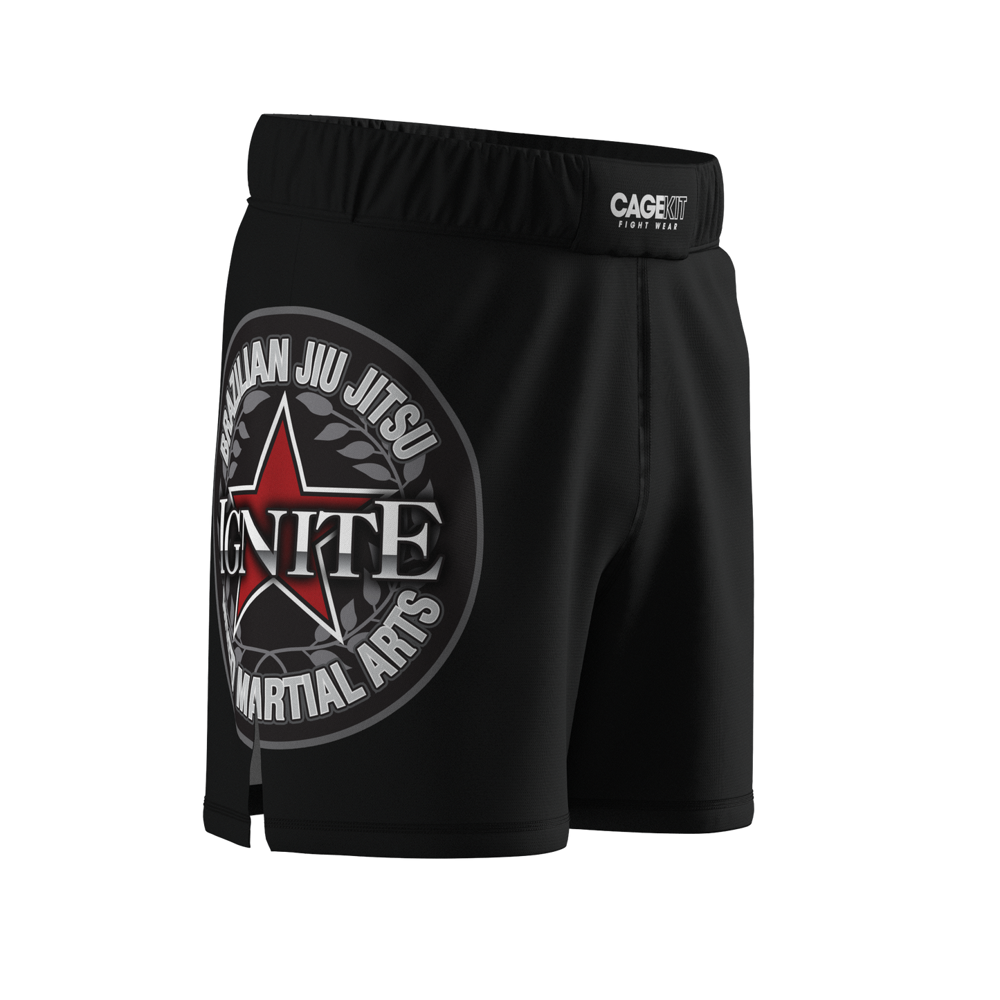 IGNITE Hybrid MMA Shorts (2024)